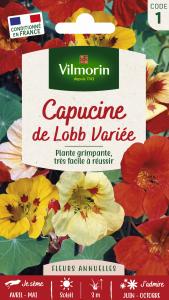 Capucine de Lobb Variée